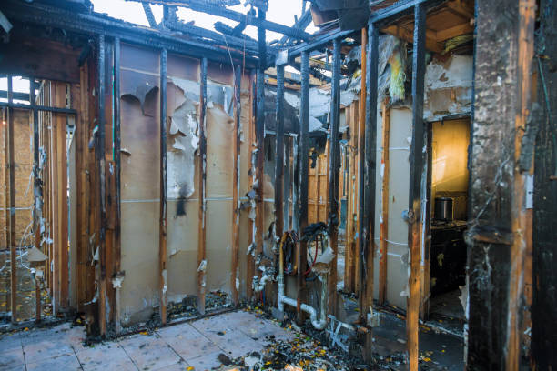 Professional Fire Damage Repair technician working in Greenback, TN